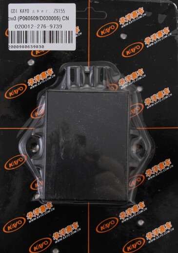 CDI KAYO двиг. ZS155 см3 (P060509/D030005) CN pitbikemarket.ru