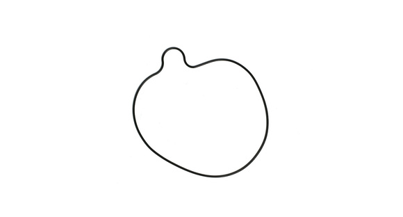 Кольцо уплотнительное крышки сцепления YCF двиг. DAYTONA ANIMA150 pitbikemarket.ru